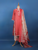 Red Geometric Printed Cotton Salwar Suit - Diadem