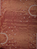 Rose Gold Floral Embroidered Design Tissue Silk Saree with Designer Border