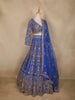 Royal Blue Floral Design Net Lehenga