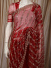 Ruby Red Diagonal Striped Floral Vine Sequins and Beads Embroidered Design Net Party Wear Saree