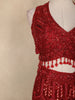 Ruby Red Sequins and Bead Embroidered Mermaid Lehenga Set with Dupatta