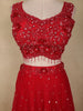 Ruby Red Sequins and Beads Embroidered Design Net Lehenga With Net Dupatta