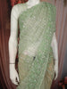 Sage Green Sequins and Beads Embroidered Design Pure Organza Designer Saree
