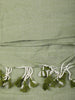 Sage Green Solid Design Cotton Casual Wear Saree with Kalamkari Blouse