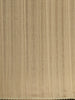Sand Beige Floral Printed Tussar Silk Saree - Diadem