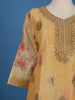 Sandal Zari Embroidered Banarasi Salwar Suit