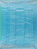 Sea Green And Sky Blue Floral Motif Woven Kanchipuram Silk Saree With Zari Border
