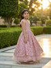 Light Pink Net Gown with Sequin Embellishments and Feather Sleeves