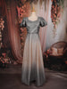 Silver Ash Grey Shimmer Glitter Embellished Design Party Wear Gown