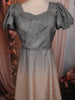Silver Ash Grey Shimmer Glitter Embellished Design Party Wear Gown