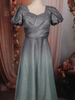 Silver Ash Grey Shimmer Glitter Embellished Design Party Wear Gown