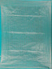 Sky Blue Bird Design Raw Silk Saree - Diadem