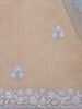 Sky Blue Floral Embroidered Design Net Saree