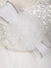 Snow White Heavy Sequins Embroidered Design Ruffled Layered Tulle Net Party Wear Frock