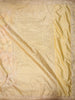 Soft Antique Champagne Gold Floral Zari Woven Design Pure Banarasi Saree with Scalloped Zari Border