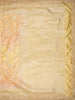Soft Antique Golden Yellow Floral Zari Woven Design Pure Banarasi Saree with Scalloped Zari Border