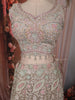 Soft Beige Floral Thread and Beads Embroidered Design Net Lehenga with Dupatta