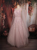 Soft Blush Pink Floral Sequins Embroidered Design Net Partywear Gown