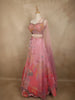 Soft Blush Pink Floral Sequins and Beads Embroidered Design Net Fancy Lehenga With Net Dupatta