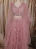 Soft Blush Pink Heavy Sequins Embroidered Design Net Lehenga With Net Dupatta