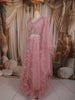 Soft Blush Pink Heavy Sequins Embroidered Design Net Lehenga With Net Dupatta