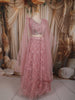 Soft Blush Pink Heavy Sequins Embroidered Design Net Lehenga With Net Dupatta