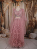 Soft Blush Pink Heavy Sequins Embroidered Design Net Lehenga With Net Dupatta
