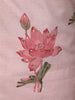 Soft Blush Pink Lotus Floral Printed Design Cotton Straight Cut Salwar Suit with Matching Dupatta