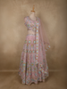 Soft Blush Pink Mirror and Thread Embroidered Design Net Lehenga With Net Dupatta