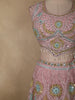 Soft Blush Pink Mirror and Thread Embroidered Design Net Lehenga With Net Dupatta