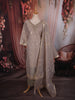 Soft Champagne Beige Butta Zari Woven Design Tissue Banarasi Salwar Suit