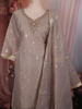 Soft Champagne Beige Butta Zari Woven Design Tissue Banarasi Salwar Suit