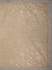 Soft Champagne Beige Floral Sequins Embroidered Design Net Designer Saree with Designer Border