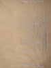 Soft Champagne Beige Floral Thread Embroidered Design Net Designer Saree with Designer Border