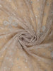 Soft Champagne Beige Floral Thread Embroidered Design Net Designer Saree with Designer Border