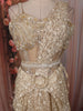 Soft Champagne Gold Heavy Sequins and Beads Embroidered Design Net Party Wear Ready To Wear Saree with Hip Belt