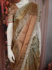 Soft Champagne Gold with Ivory Striped Woven Design Tissue Designer Saree with Designer Border