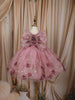 Soft Dusty Pink Shimmer Embellished Design Net Kids Party Wear Frock