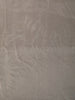 Soft Ivory Cream Floral Vine Printed Design Pure Organza Saree with Sequins Zari Border