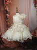 Soft Ivory Cream Heavy Sequins Embroidered Design Net Party Wear Kids Frock