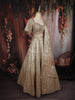 Soft Ivory Floral Sequins and Mirror Embroidered Design Tissue Silk Lehenga With Dupatta