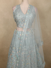 Soft Pastel Mint Aqua Blue Floral Thread and Beads Embroidered Design Net Lehenga With Net Dupatta