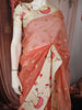 Soft Peach Coral Butta Zari Embroidered Design Pure Organza Saree with Contrast Motif Border