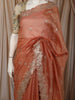 Soft Peach Floral Thread Embroidered Design Pure Organza Saree with Scalloped Border