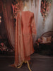 Soft Peach Stone Embellished Design Tissue Salwar Suit with Dupatta