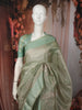 Soft Pistachio Green Floral Thread Embroidered Design Pure Organza Saree with Solid Border