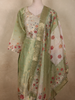 Soft Pistachio Green Floral Thread Embroidered Design Tissue Straight Cut Salwar Suit