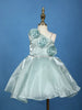 Spearmint One-Shoulder Organza Kids Party Frock With 3D Floral Appliqué