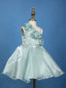 Spearmint One-Shoulder Organza Kids Party Frock With 3D Floral Appliqué