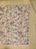 Warm Vanilla Cream Floral Printed Design Pure Tussar Saree with Sequins Border